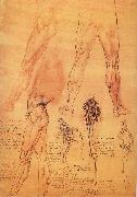 LEONARDO da Vinci Muscles and bone of leg and Hufte France oil painting artist